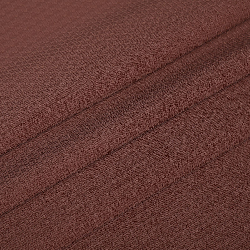 APJ1085 Warp Knited Brocade Aminoathenian Jacquard Sports Polo Shirt Fabric